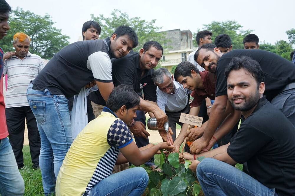 Volunteers planting trees